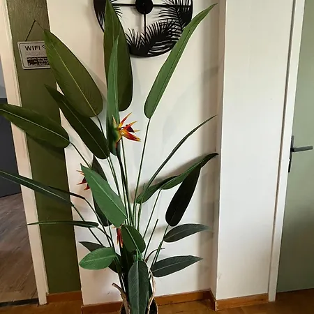 Ferienwohnung Jungle Cosy Louviers Exterior foto