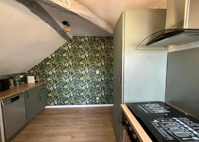 Jungle Cosy