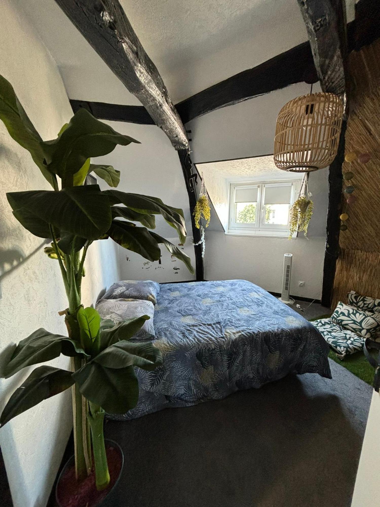 Apartment Jungle Cosy