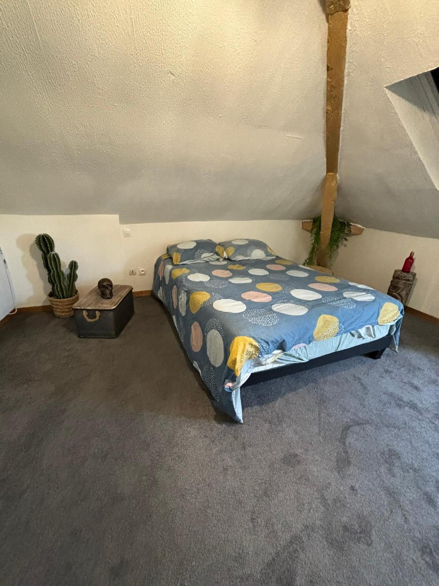 Jungle Cosy * Louviers
