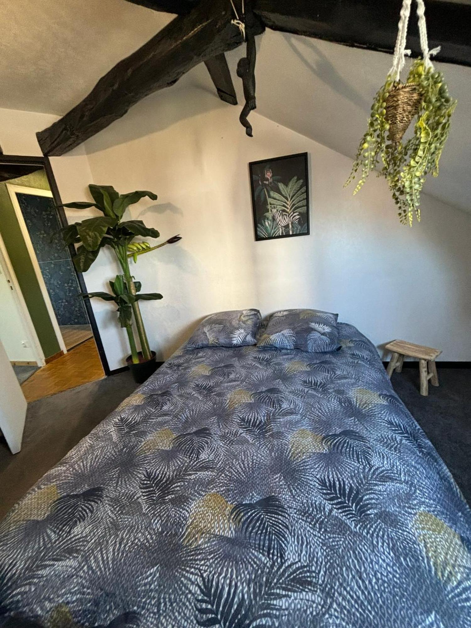 Jungle Cosy Apartment Louviers