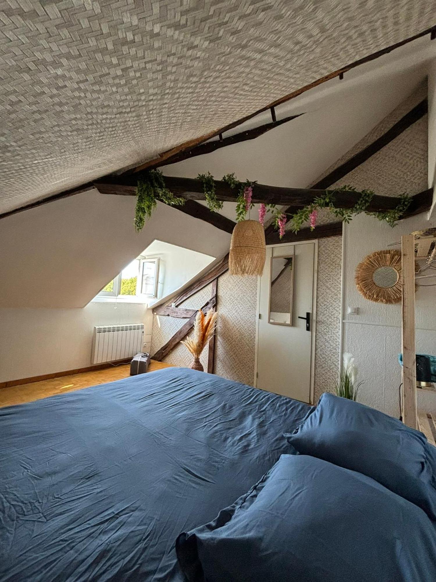 Jungle Cosy