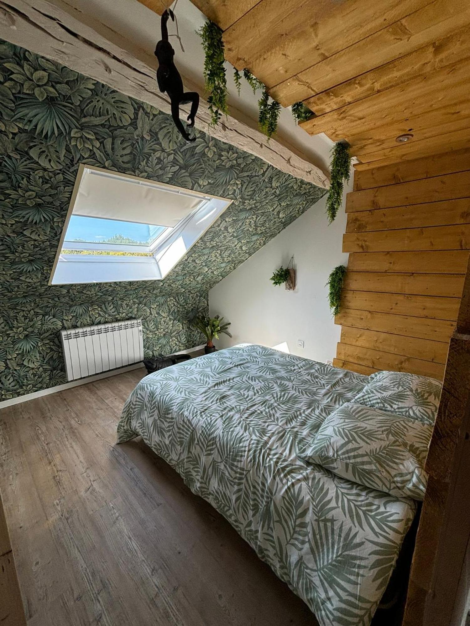 Jungle Cosy *