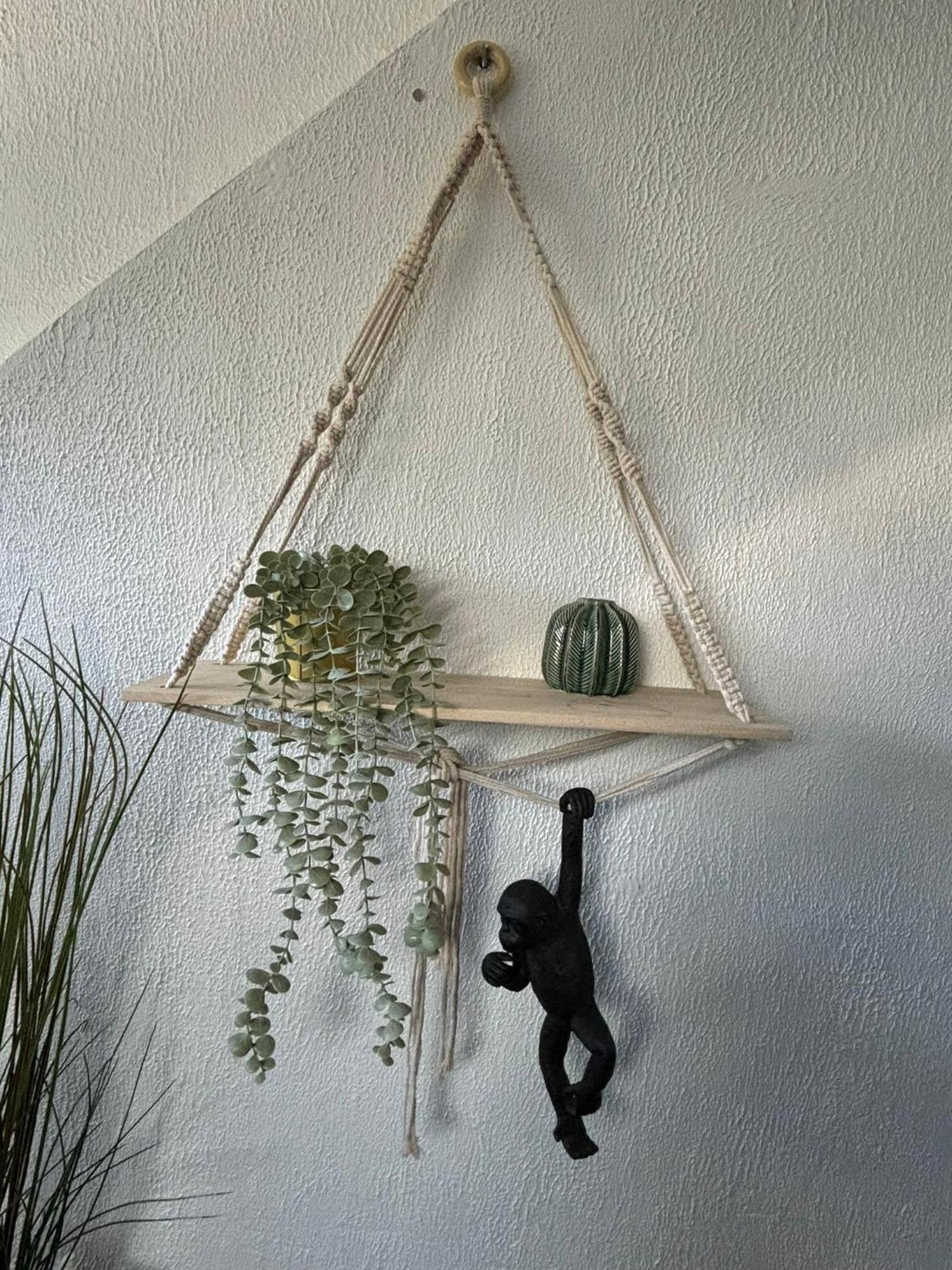 Jungle Cosy Louviers