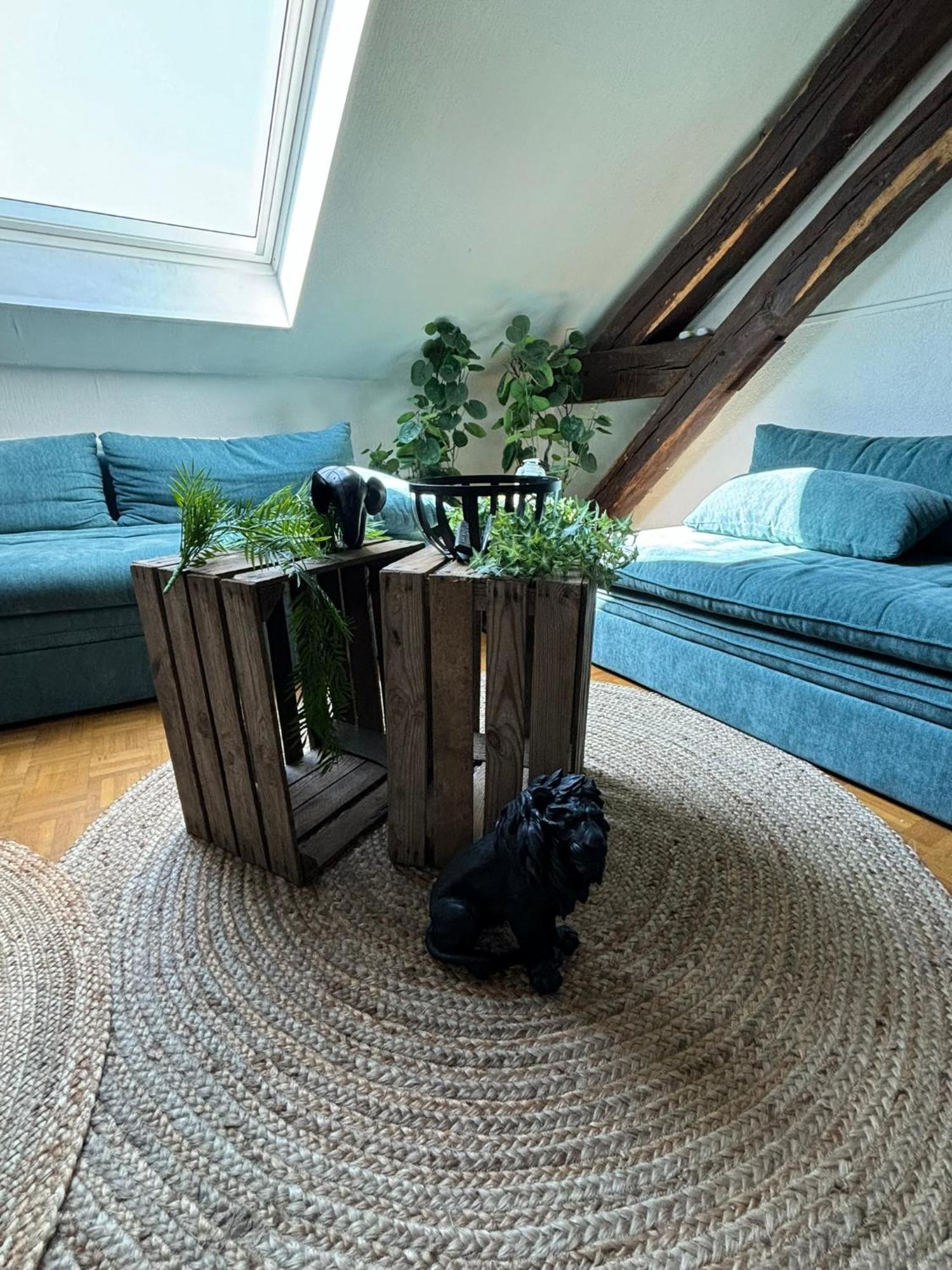 Jungle Cosy