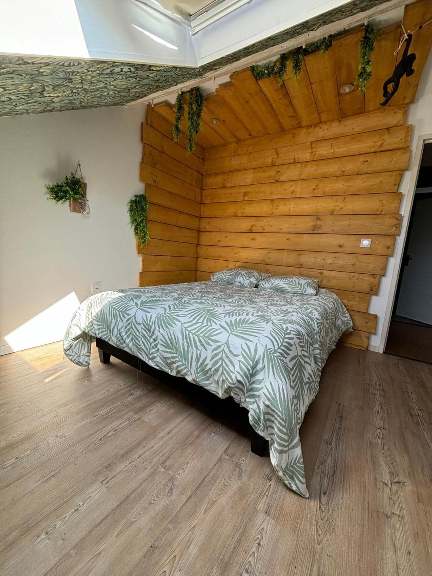 Appartement Jungle Cosy