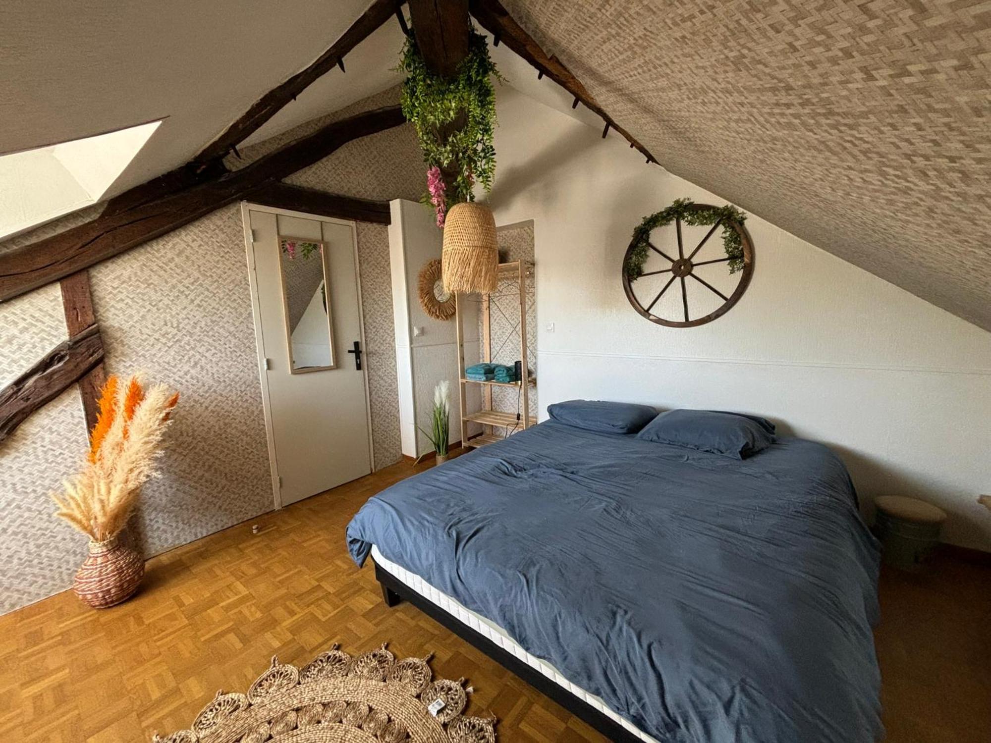 Jungle Cosy Appartement *