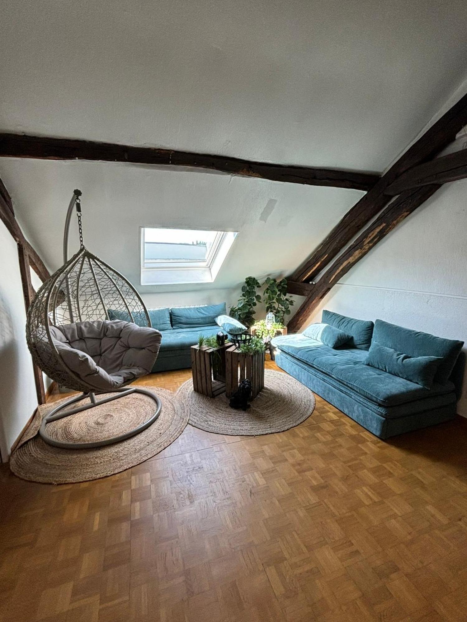 Jungle Cosy